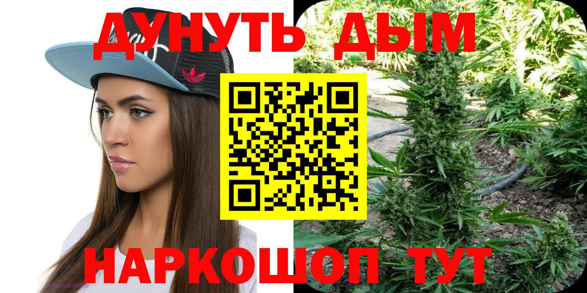 Конопля планчик  Конопля план  Балабаново  МАРИХУАНА THC 21%  Вход с VPN 